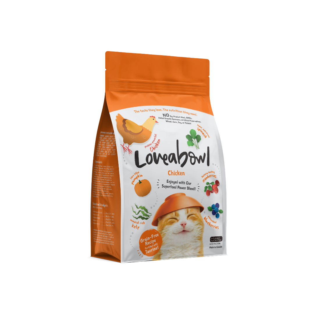 Grain Free Dry Cat Food - Chicken 150g