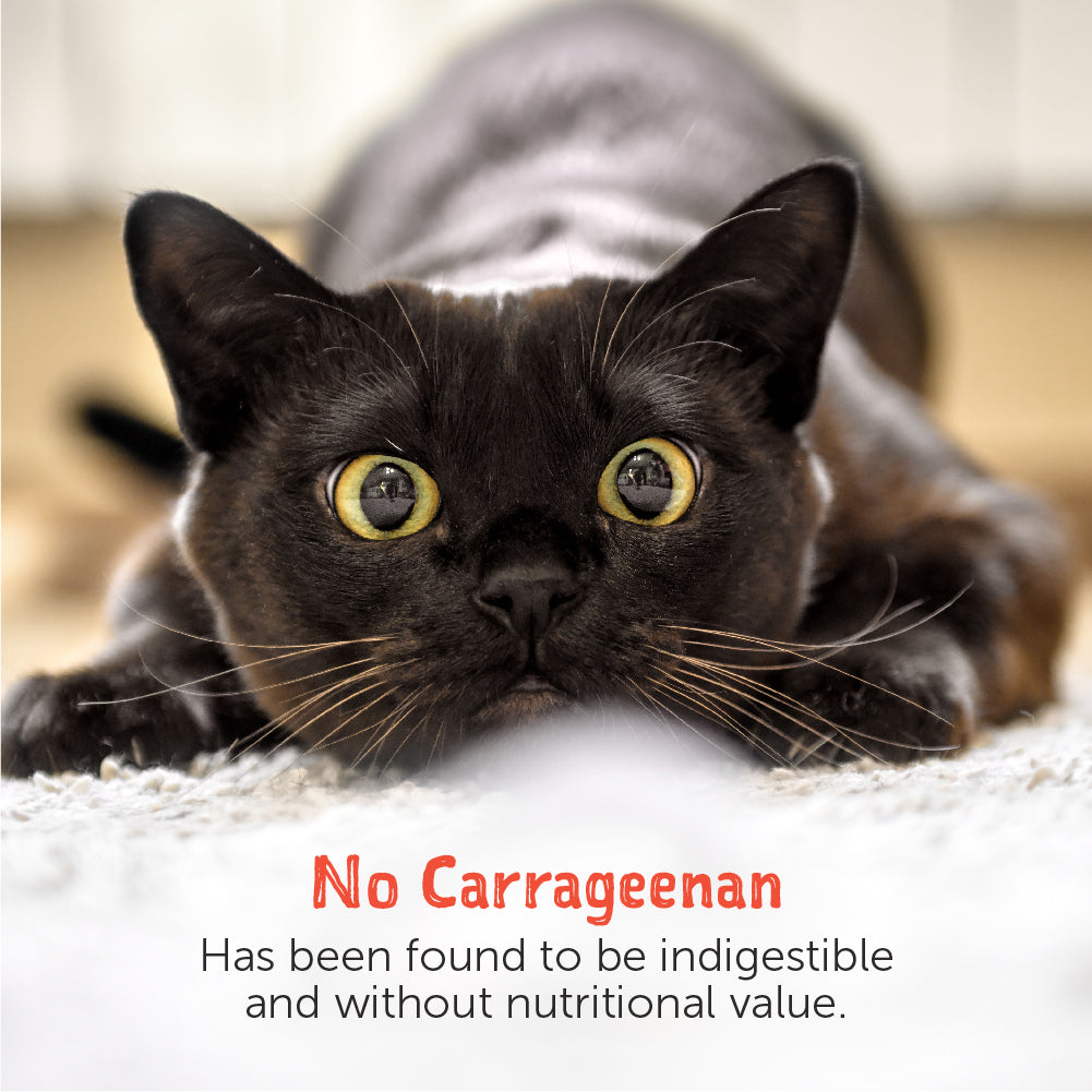 Loveabowl Cat Canned Food - Chicken/Tuna Base (70g/Can)