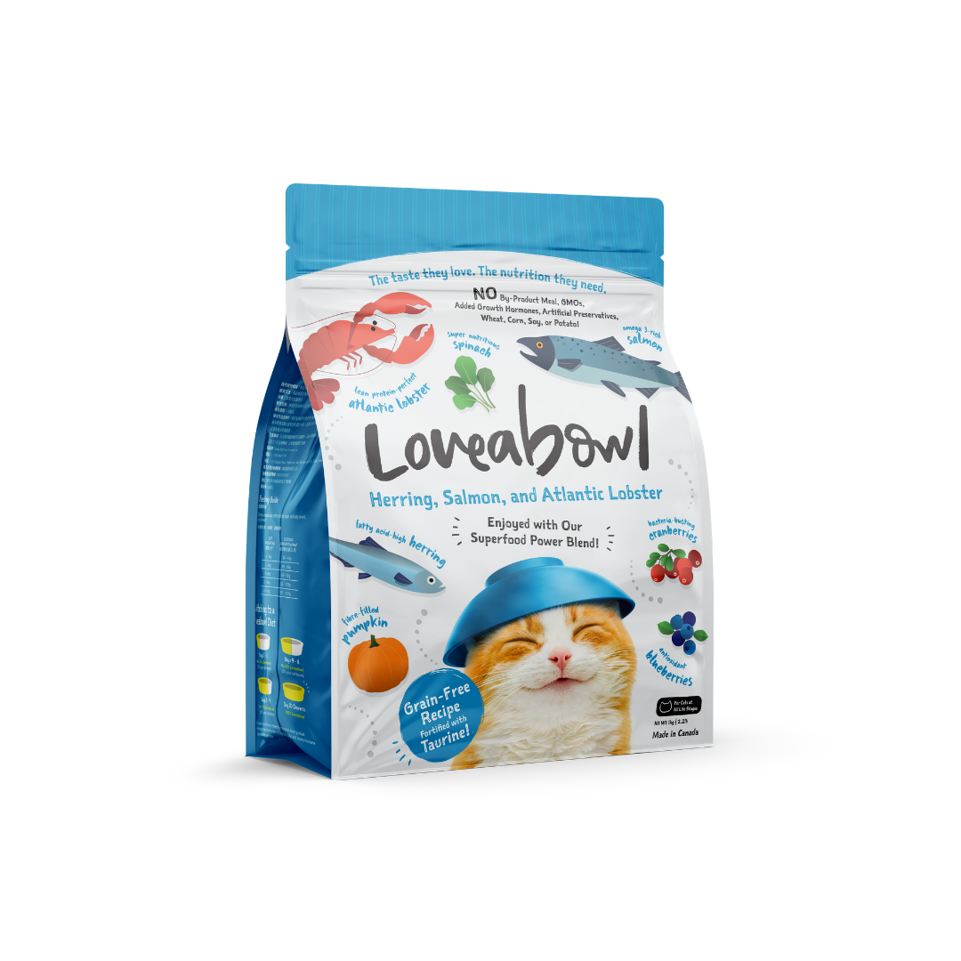Grain Free Dry Cat Food - Herring, Salmon & Lobster 1kg