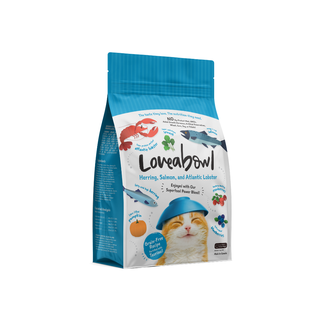 Grain Free Dry Cat Food - Herring, Salmon & Lobster 4kg