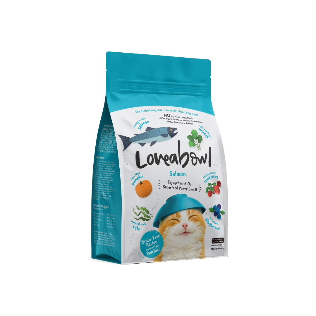 Grain Free Dry Cat Food - Salmon 150g