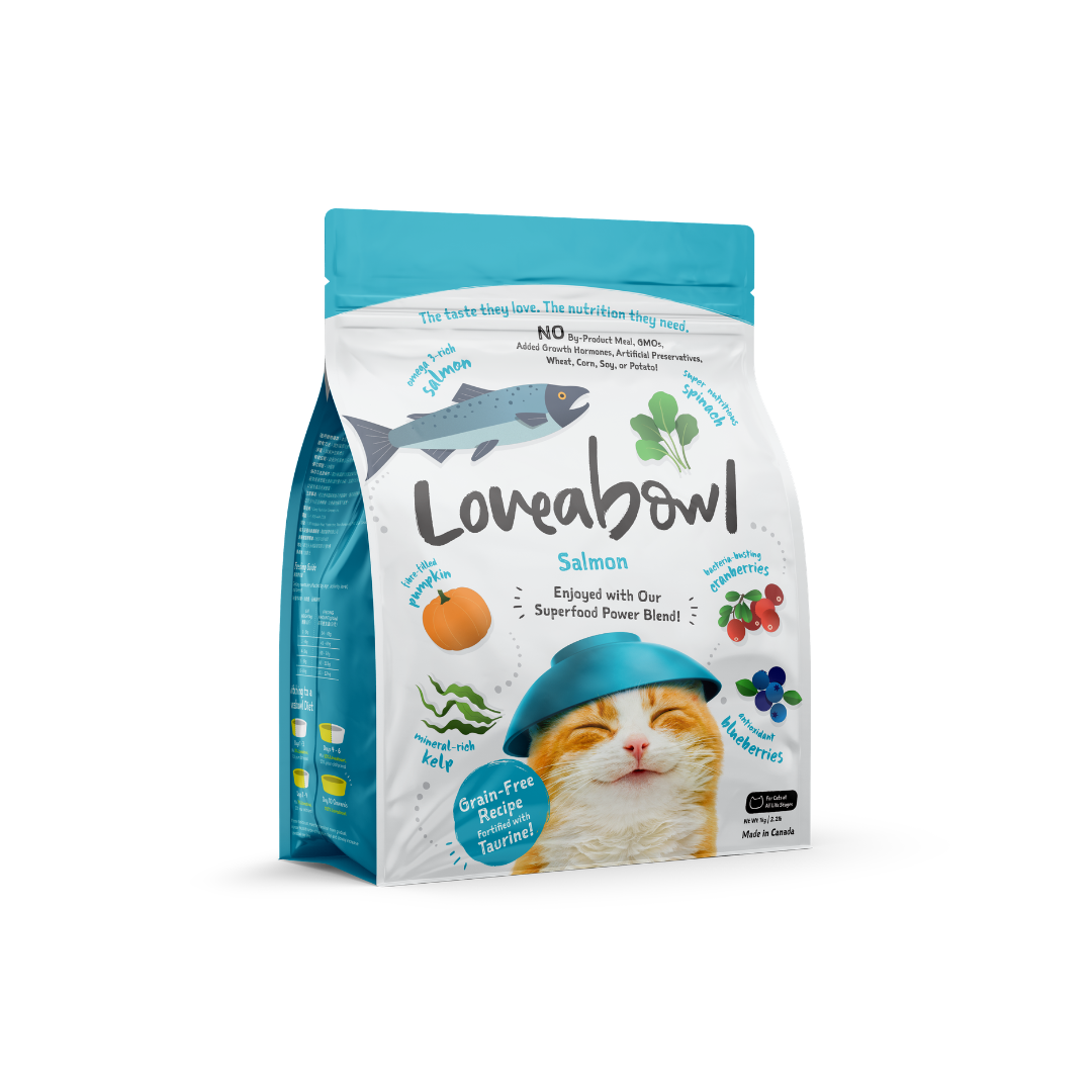 Grain Free Dry Cat Food - Salmon 1kg
