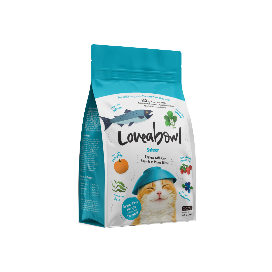 Grain Free Dry Cat Food - Salmon 4kg
